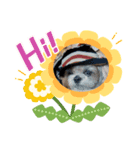 大好きだよムック（個別スタンプ：4）