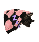 愛犬トラちゃん（個別スタンプ：2）