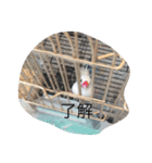 あたい8さい（個別スタンプ：14）