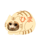 てぃー ＆ ぷー（個別スタンプ：7）