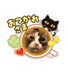 てぃー ＆ ぷー（個別スタンプ：12）