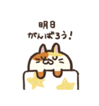 勉強がんばるごろねこサミット（個別スタンプ：28）