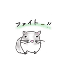 わが家のかわいいスナネズミ（個別スタンプ：1）