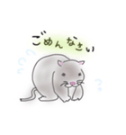 わが家のかわいいスナネズミ（個別スタンプ：7）