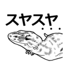 ENOGU白黒爬虫類スタンプ（個別スタンプ：6）