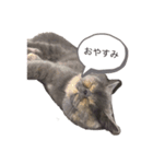 ドラ＆ドラミ（個別スタンプ：4）