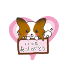 パピヨンのてまりちゃんイラストスタンプ（個別スタンプ：25）