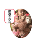表情豊かなめーちゃんスタンプ ヲタ活篇（個別スタンプ：10）