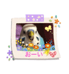 ワンワンと鳴くインコ（個別スタンプ：3）