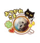 ワンワンと鳴くインコ（個別スタンプ：6）