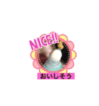 ワンワンと鳴くインコ（個別スタンプ：9）
