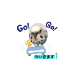 ワンワンと鳴くインコ（個別スタンプ：10）