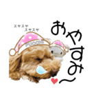 にしかわさんちのかわいこちゃん（個別スタンプ：2）