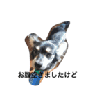 愛犬ちょたん（個別スタンプ：2）