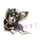 愛犬ちょたん（個別スタンプ：8）