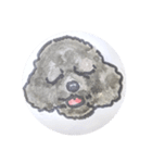 福ふくまねきや黒系トイプー（個別スタンプ：3）