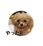 ななりんスタンプ！！（個別スタンプ：19）