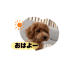 ななりんスタンプ！！（個別スタンプ：30）