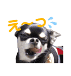 ダイパチ！と毛深い兄弟たち 2（個別スタンプ：13）