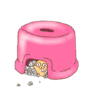 ハムち！（個別スタンプ：20）