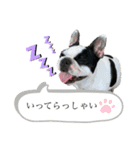 私はベルです♡（個別スタンプ：2）