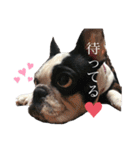 私はベルです♡（個別スタンプ：5）