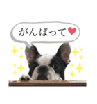 私はベルです♡（個別スタンプ：9）