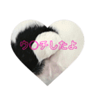 私はベルです♡（個別スタンプ：14）