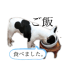 私はベルです♡（個別スタンプ：26）