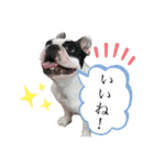 私はベルです♡（個別スタンプ：28）