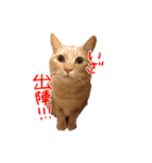 ぐう＆まりー（個別スタンプ：6）
