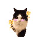 ぐう＆まりー（個別スタンプ：7）