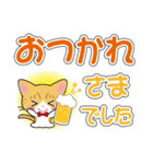 茶白猫ちゃんのデカ文字スタンプ（個別スタンプ：6）