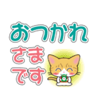 茶白猫ちゃんのデカ文字スタンプ（個別スタンプ：7）