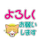 茶白猫ちゃんのデカ文字スタンプ（個別スタンプ：19）