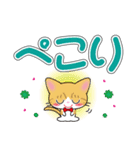 茶白猫ちゃんのデカ文字スタンプ（個別スタンプ：20）