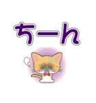 茶白猫ちゃんのデカ文字スタンプ（個別スタンプ：34）