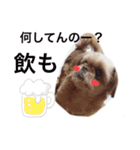 ラムテンチョコ時々姉弟（個別スタンプ：10）