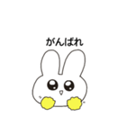 日常で使いやすいうさぎ（個別スタンプ：9）