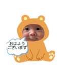 ぼくたち双子たすく＆しおん（個別スタンプ：1）