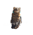 にゃんこ先輩（個別スタンプ：7）