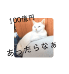 にゃんこ先輩（個別スタンプ：8）