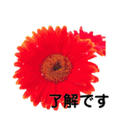 日常に使える彩り花スタンプ(敬語.ver)（個別スタンプ：3）
