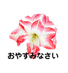 日常に使える彩り花スタンプ(敬語.ver)（個別スタンプ：4）