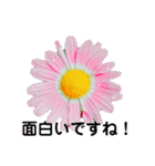 日常に使える彩り花スタンプ(敬語.ver)（個別スタンプ：8）