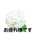 日常に使える彩り花スタンプ(敬語.ver)（個別スタンプ：9）