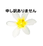 日常に使える彩り花スタンプ(敬語.ver)（個別スタンプ：11）
