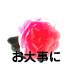 日常に使える彩り花スタンプ(敬語.ver)（個別スタンプ：12）