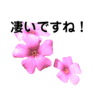 日常に使える彩り花スタンプ(敬語.ver)（個別スタンプ：14）