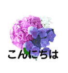 日常に使える彩り花スタンプ(敬語.ver)（個別スタンプ：15）